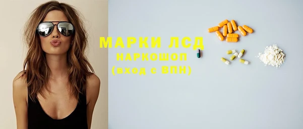 стафф Бородино
