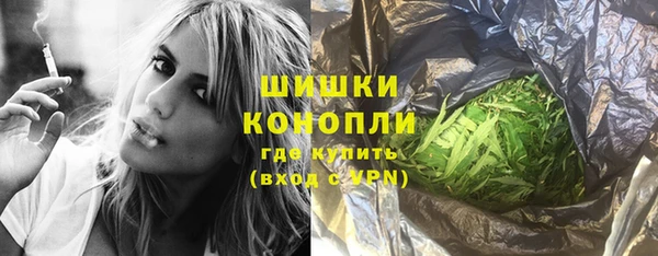 стафф Бородино