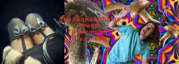 стафф Бородино