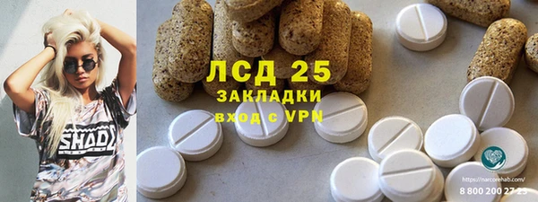 стафф Бородино