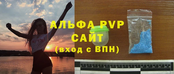 стафф Бородино